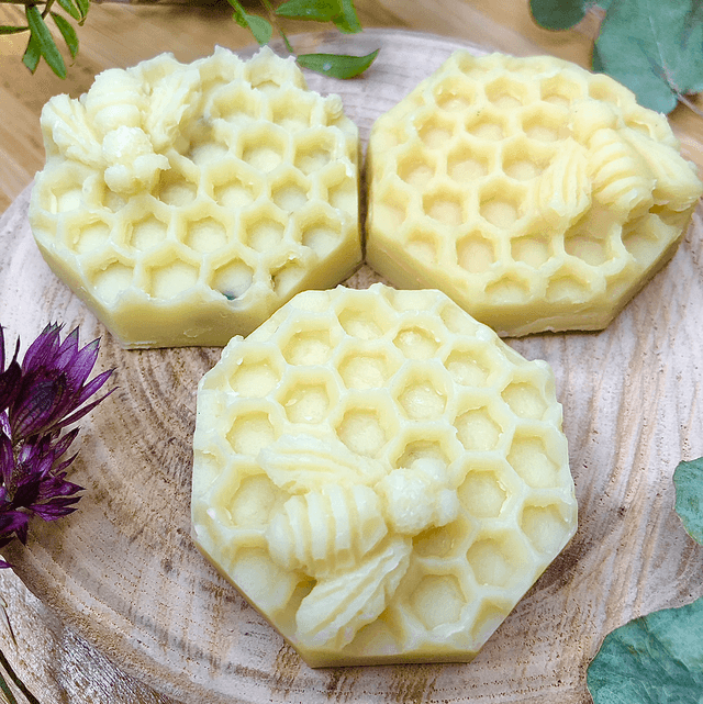 Coffret « Abeilles »