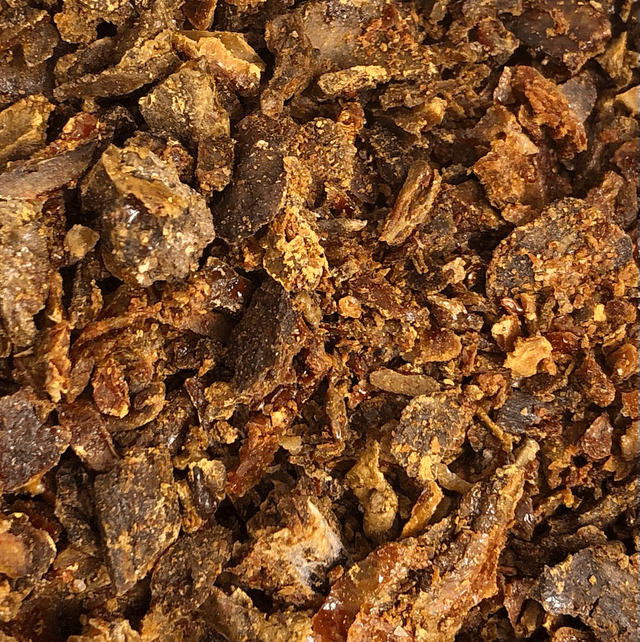 Teinture mère de Propolis